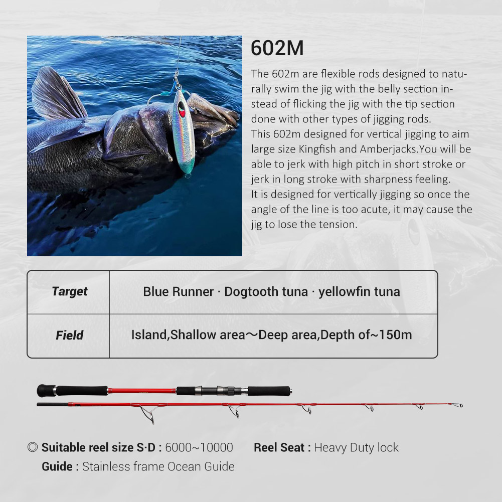 NOEBY 2セクション 1.83m オーシャンジギングロッ - Fishing Rod Surf のレビューと価格