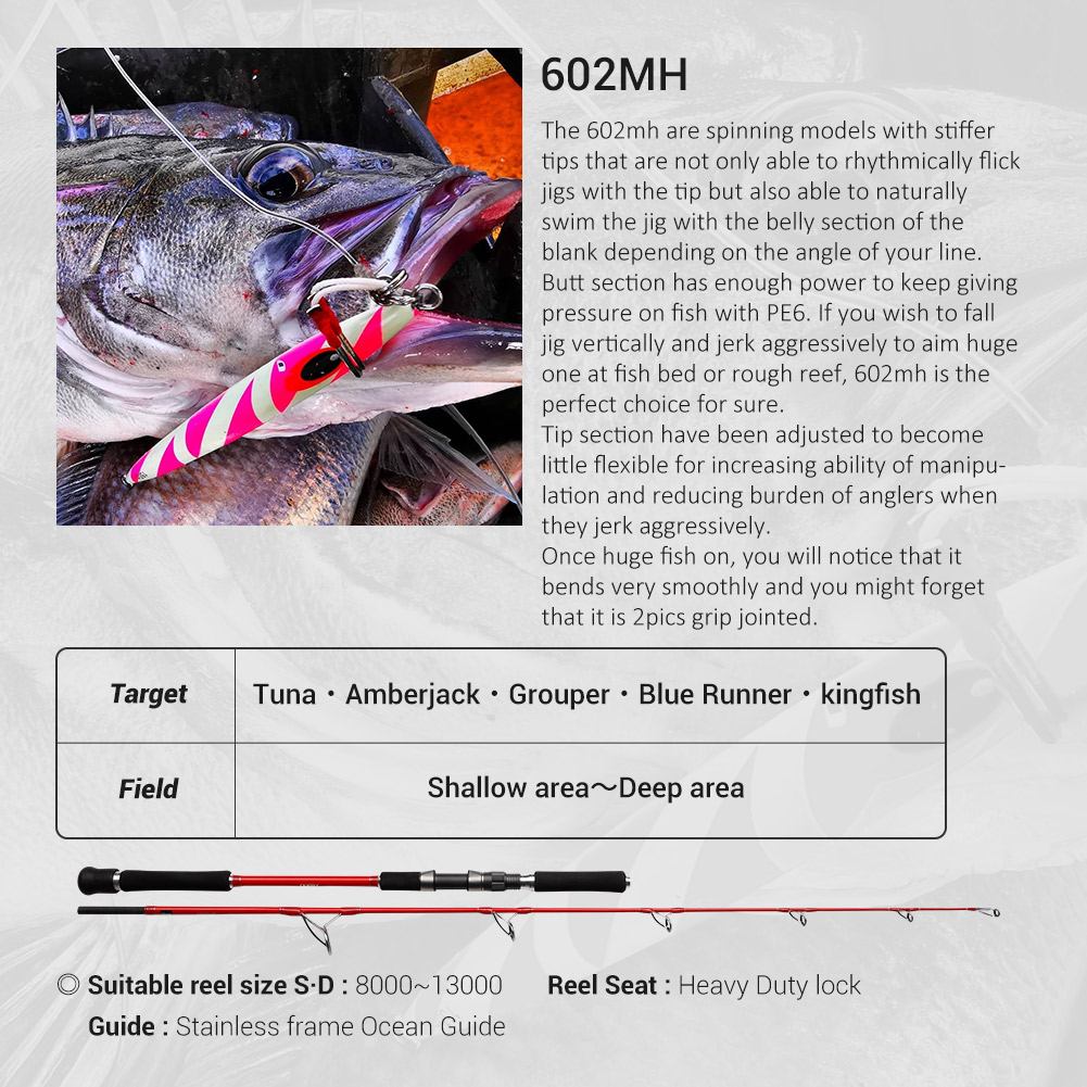 NOEBY 2セクション 1.83m オーシャンジギングロッ - Fishing Rod Surf のレビューと価格